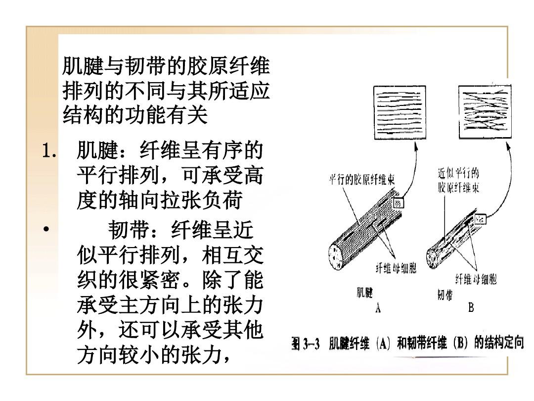 彈簧彈力計算_模具彈簧彈力計算公式_彈簧對手彈力示意圖