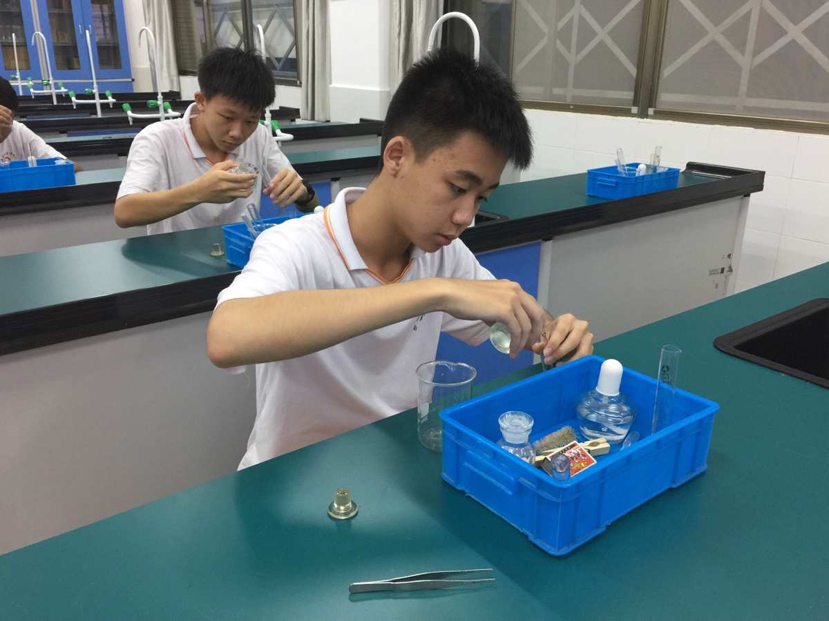杠桿平衡實驗報告單_二力平衡實驗視頻mp4_電機平衡實驗