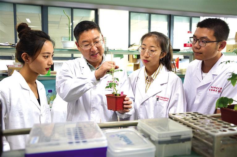 物理分子內(nèi)能摩爾_初三物理分子熱運(yùn)動_分子熱運(yùn)動的題