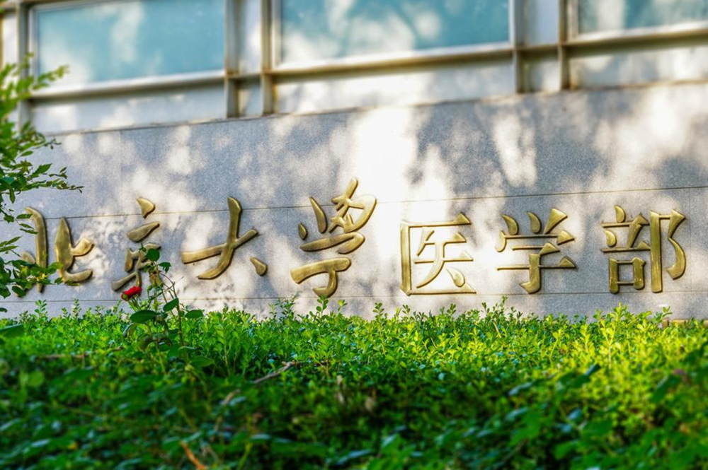 齊魯醫(yī)藥學(xué)院影像學(xué)專業(yè)錄取分?jǐn)?shù)線_2023齊魯醫(yī)藥學(xué)院錄取分?jǐn)?shù)線_齊魯醫(yī)藥學(xué)院 專科分?jǐn)?shù)