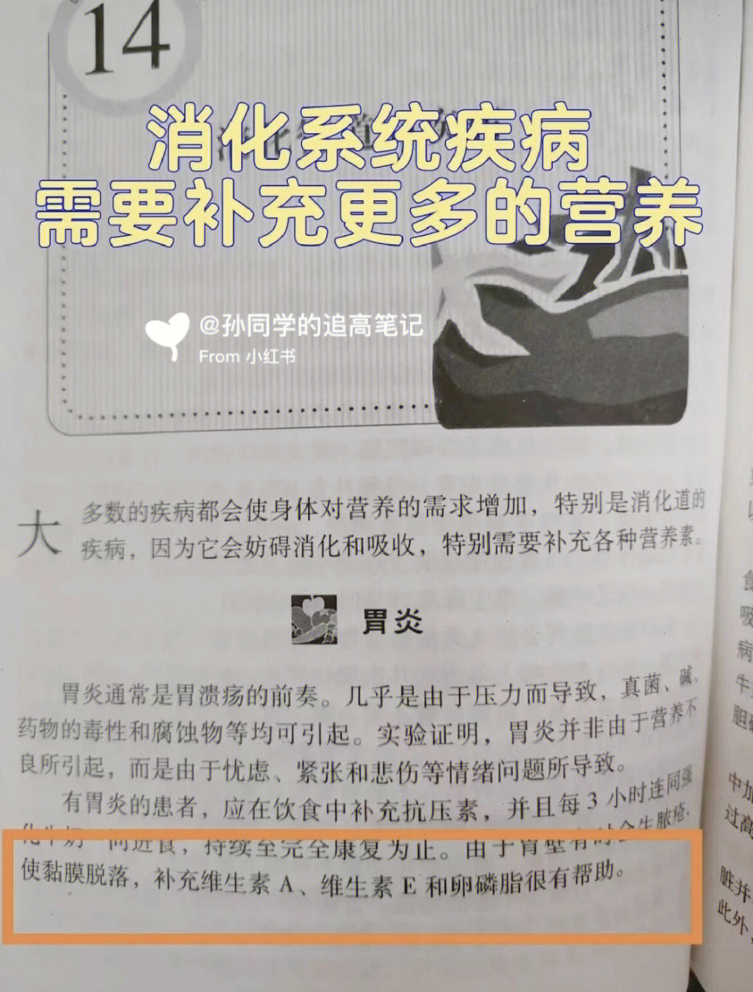 鼻炎的物理治療方法_鼻炎可以用按摩方法治療嗎_鼻炎治療最好的方法
