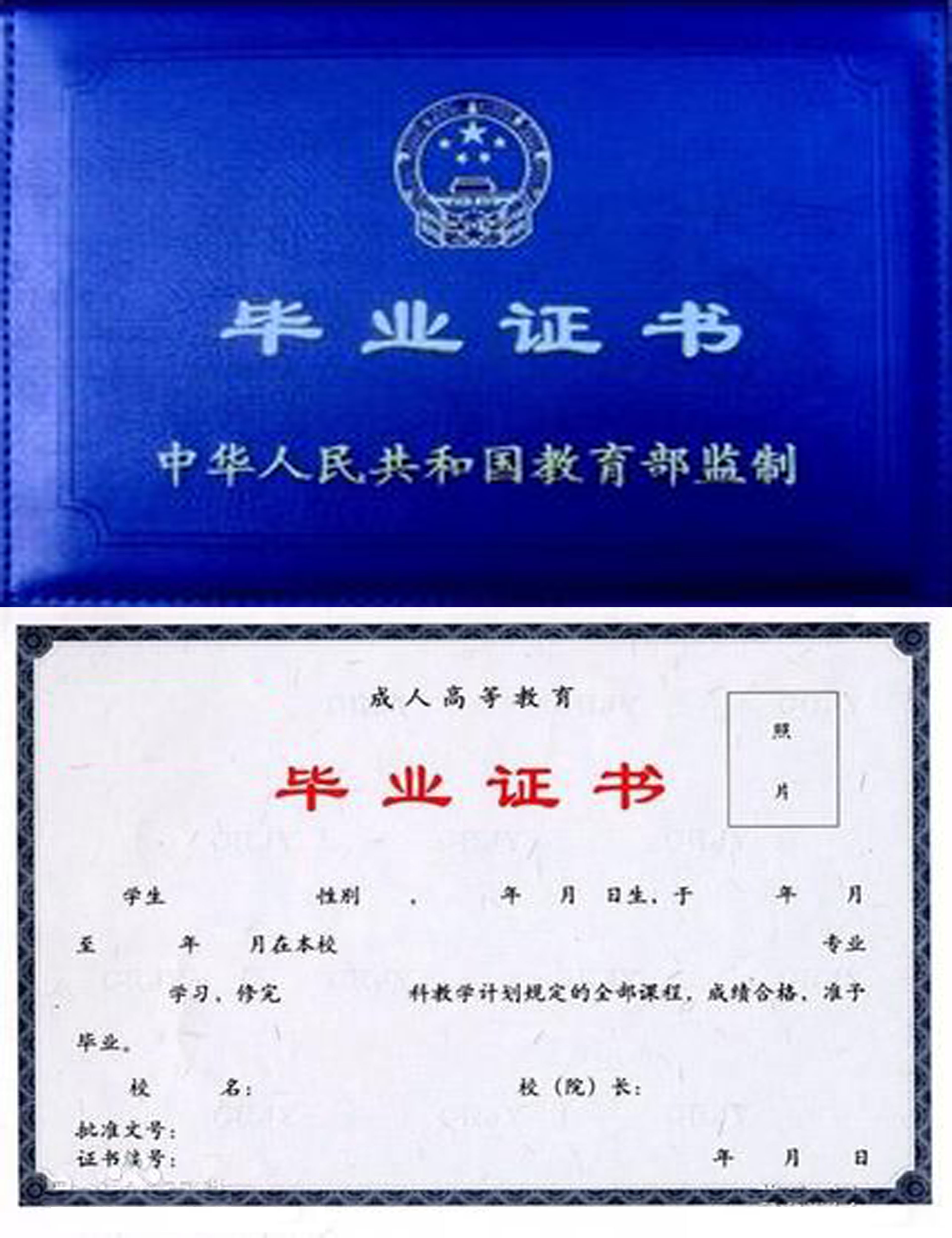 高職 專科執(zhí)業(yè)醫(yī)師_專科與專科高職的區(qū)別_高職與專科的區(qū)別