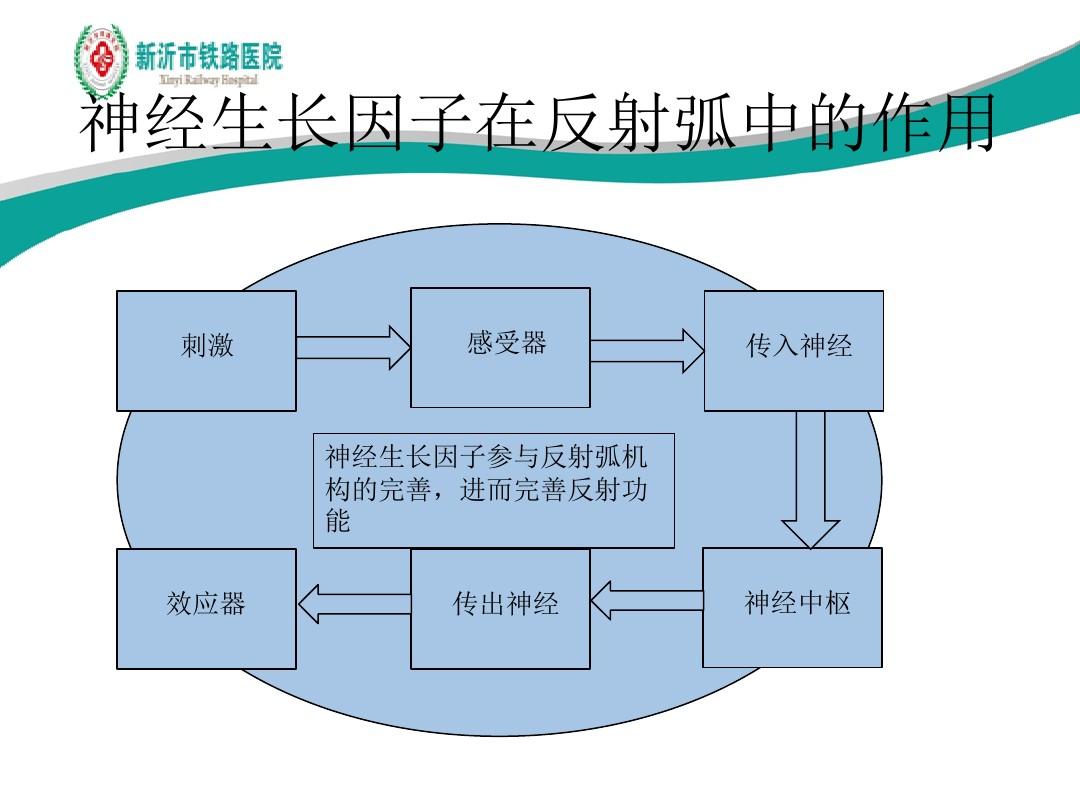 物理因子治療英文_物理因子治療技術實訓指導_物理因子療法