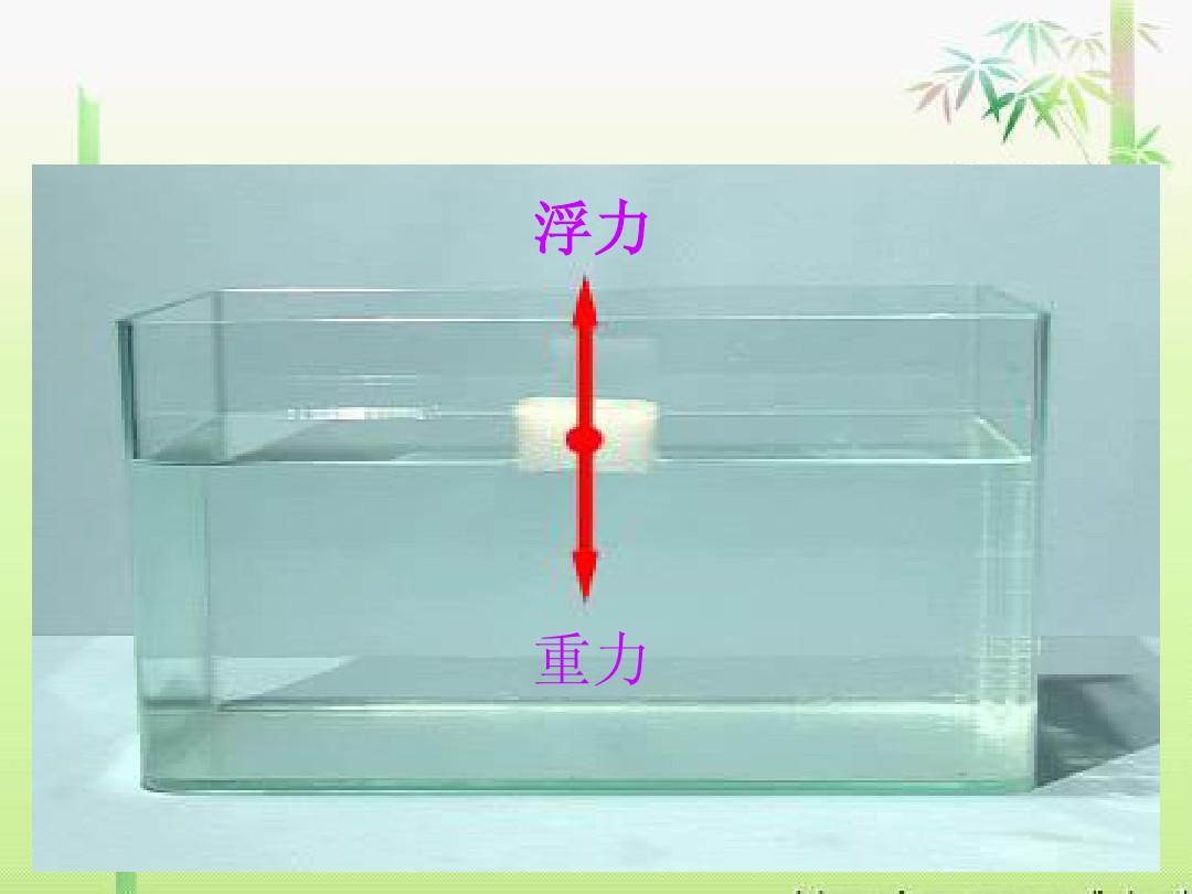 初中物理液體壓強實驗視頻_固體壓強實驗視頻_物理大氣壓強實驗視頻