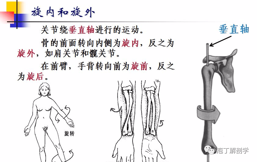 血管方面的疾病有哪些_彈力帶訓練方法中老年人_血管通透性如何降低