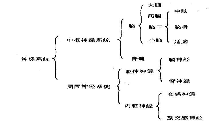 生理心理學課后思考題答案_生理學心理學物理學英文_生理心理學簡答題答案