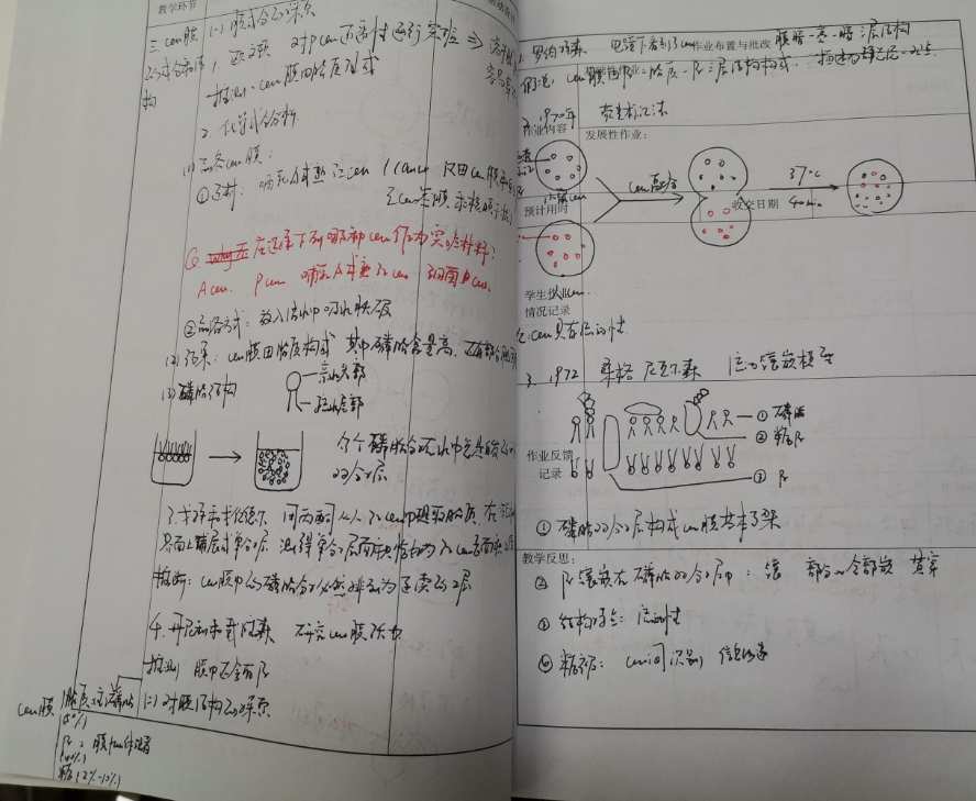 黨史黨建聽課記錄_凸透鏡成像規律的聽評課_聆聽黨課教育
