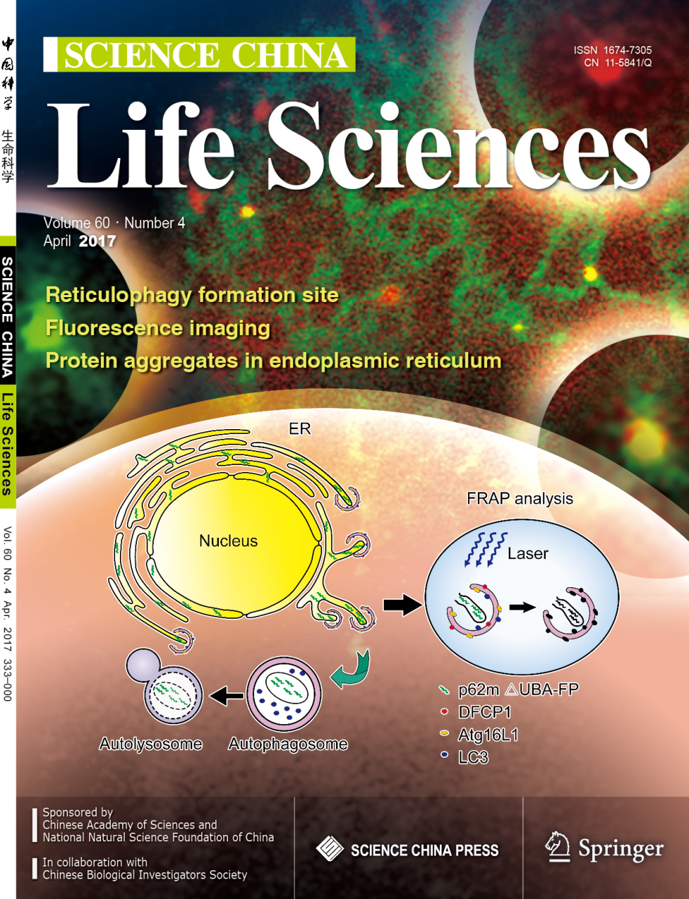 物理sci一區期刊_物理學報sci幾區_物理1區期刊