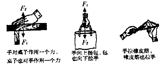 彈力框的作用_框架彈力知識點總結_彈力的知識點框架