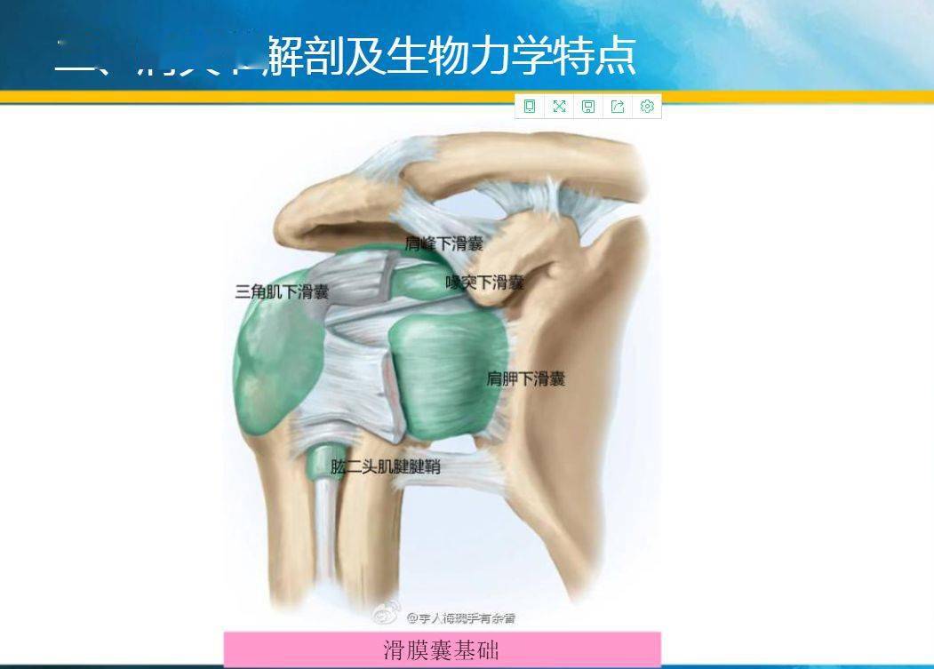 彈力帶肩內(nèi)旋_彈力帶肩外旋怎么做_彈力帶肩環(huán)繞