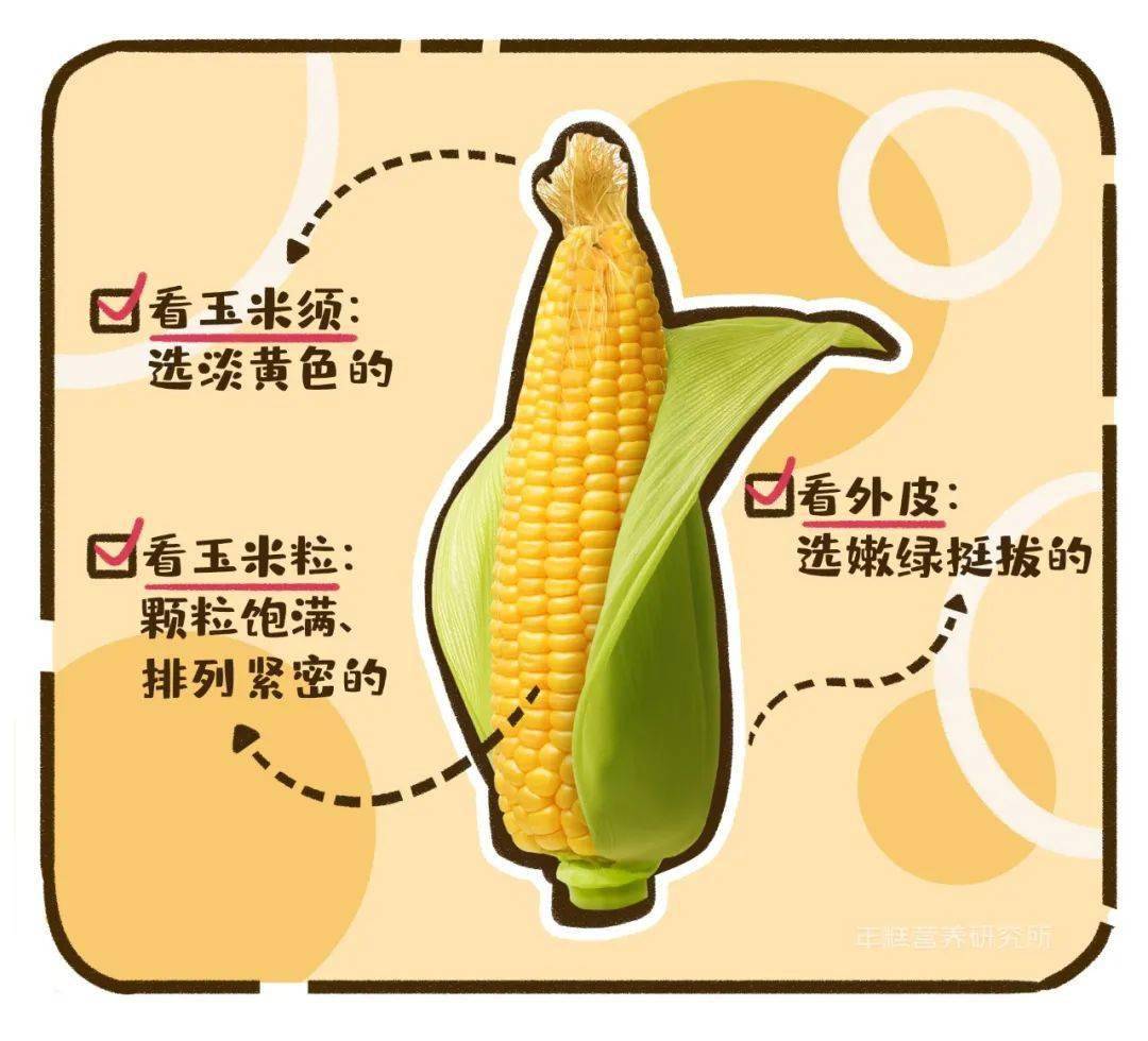 科普類物理書_物理科普讀物有哪些書_有關(guān)科學(xué)物理科普的書
