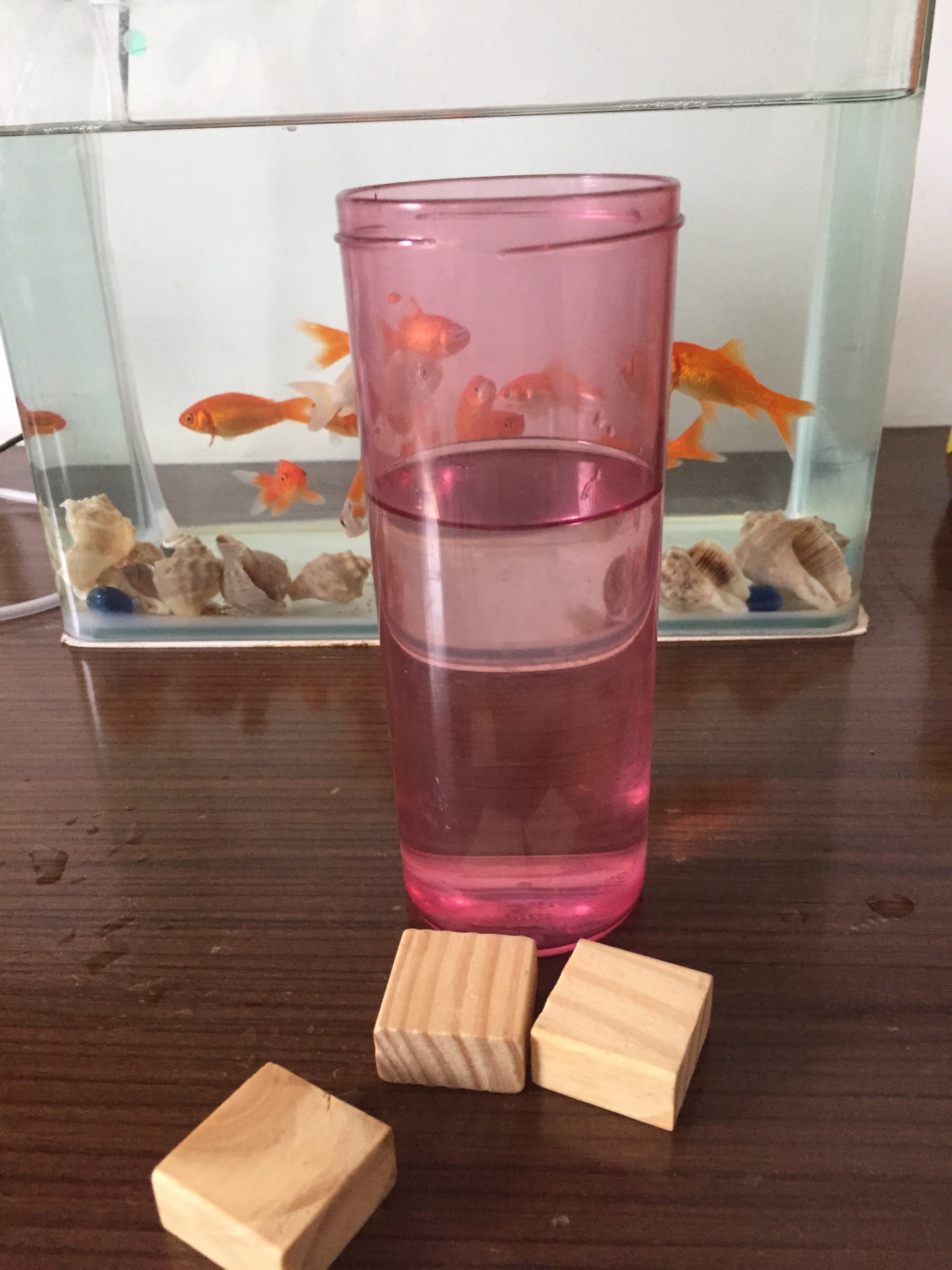 大氣壓強是誰發現的意大利_意大利受什么氣壓帶控制_意大利誰測出大氣壓的值
