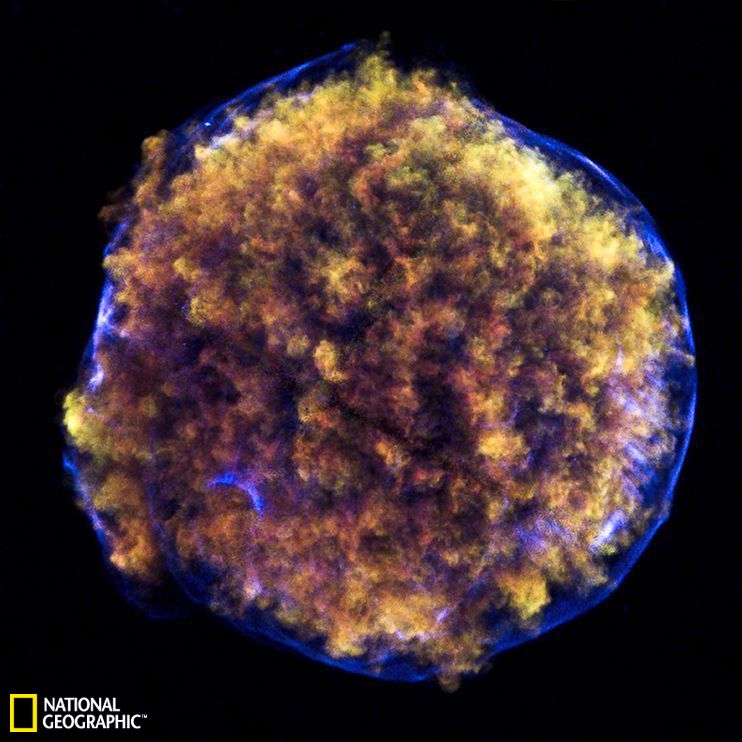 世界天體物理學大學排名榜_天體物理全球大學排名_物理天體學各大學排行