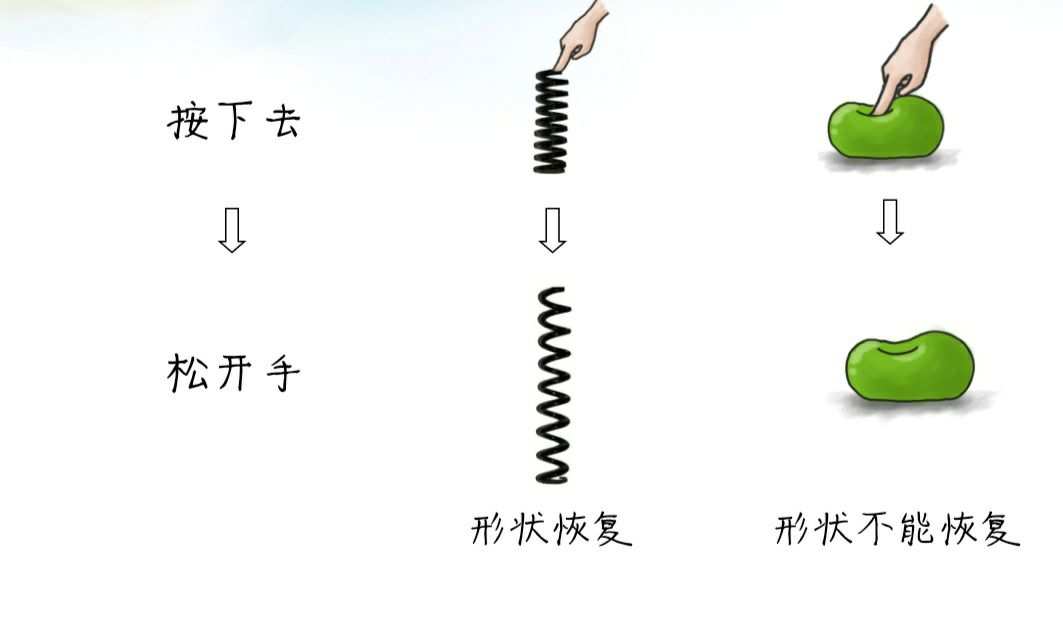 常見的彈力有哪三種_常見彈力有哪幾種_常見的六種彈力