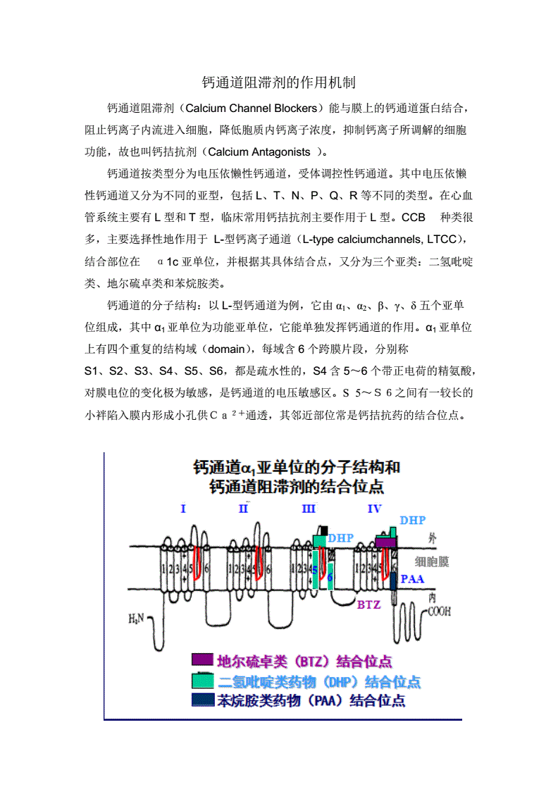 鈉離子鉀離子通道阻滯劑_離子劑鈉鉀通道阻滯劑有哪些_鈉鉀離子通道阻滯劑的作用