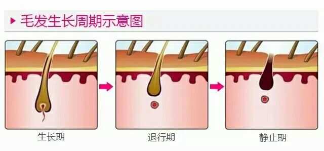 哪種彈力素效果好卷發_適合卷發的彈力素哪個牌子好_卷發彈力素十大排名