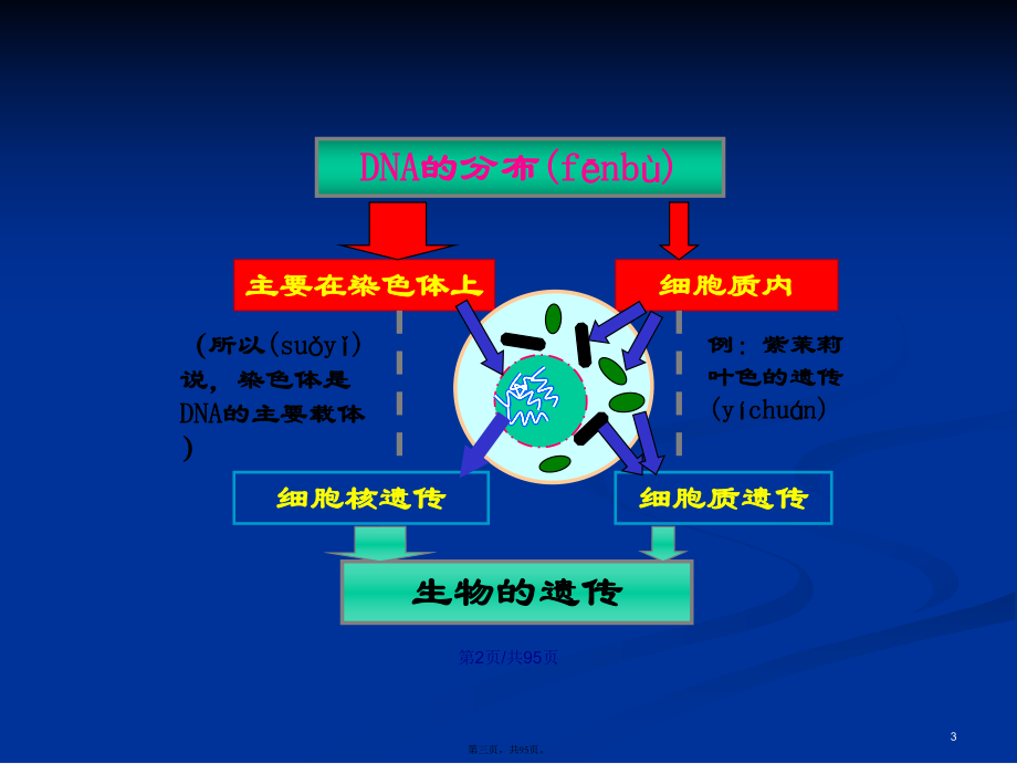 細胞的膜電位_細胞膜電位變化過程_細胞膜電位