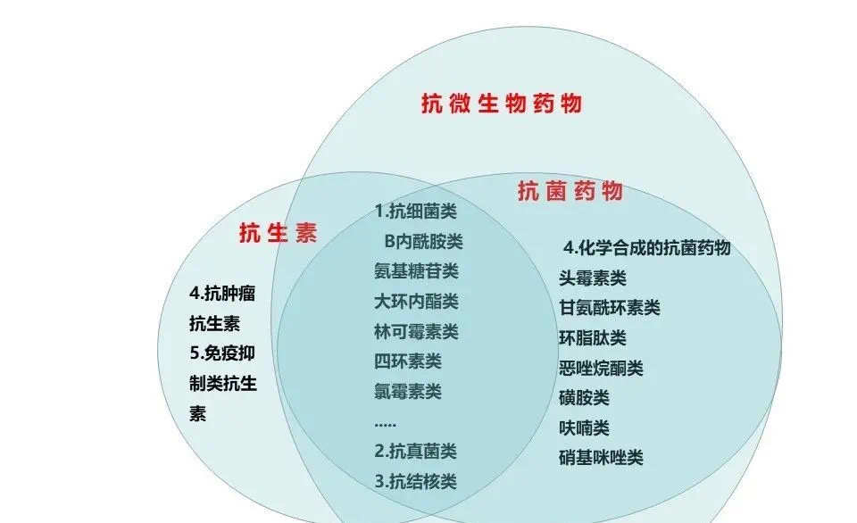 細胞膜透性_細胞膜透性與細胞膜功能的關系_細胞膜全透性