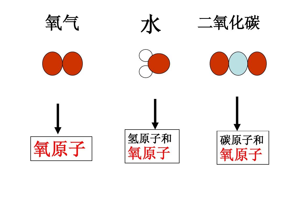固態中水分子不運動_分子熱運動的實驗_實驗核酸分子雜交
