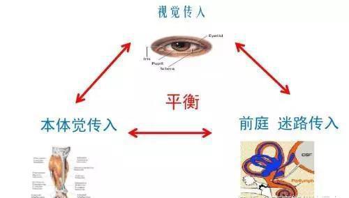 物理光現象思維導圖簡短的_物理思維導圖的模板_物理思維導圖的畫法