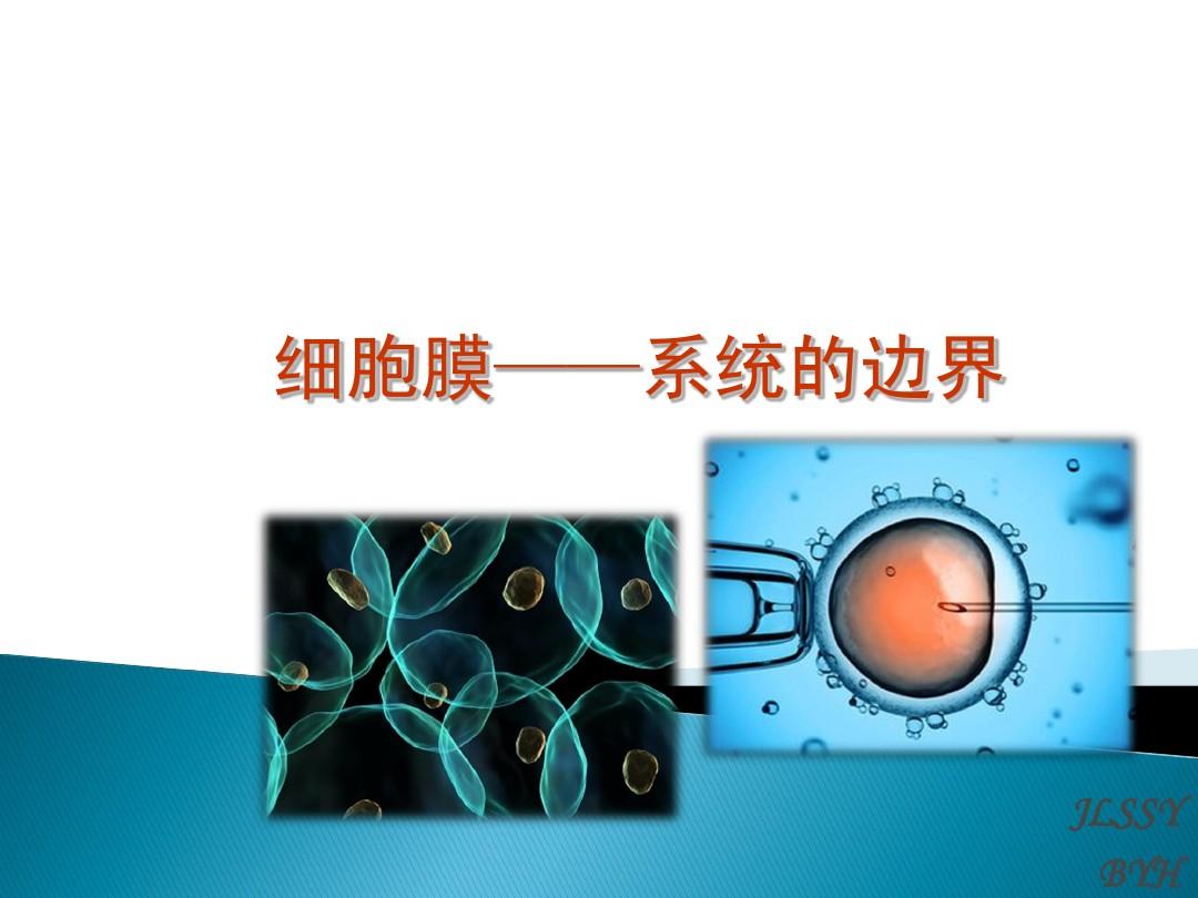 細(xì)胞核是雙層膜嗎_細(xì)胞膜 邊界的系統(tǒng)ppt_細(xì)胞膜的跨膜物質(zhì)轉(zhuǎn)運功能