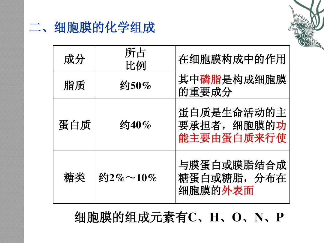 人工細(xì)胞愈合膜_細(xì)胞膜 邊界的系統(tǒng)ppt_細(xì)胞核是雙層膜嗎