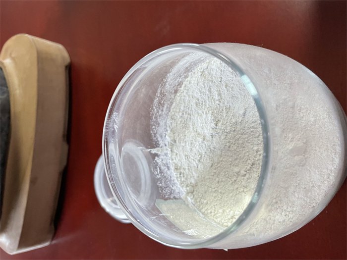 熒光原理現象葉綠素分解_葉綠素的熒光效應_葉綠素熒光現象的原理