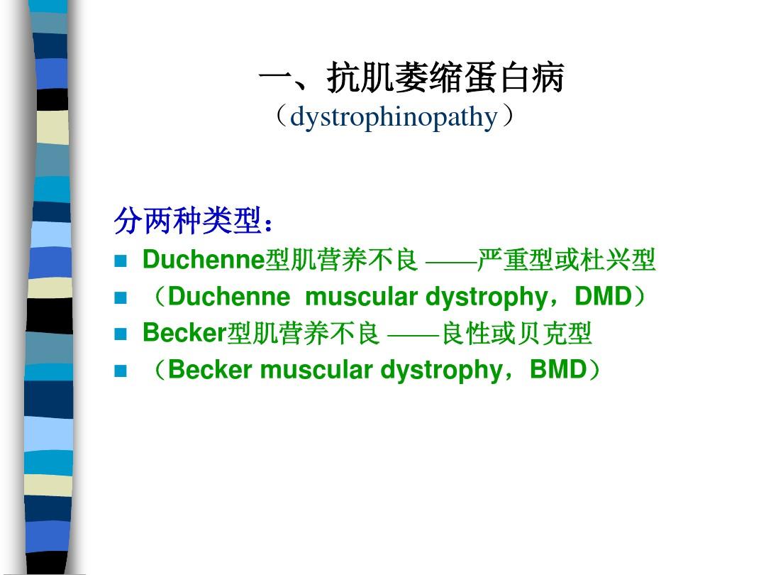 細胞膜骨架_細胞膜骨架_細胞膜骨架