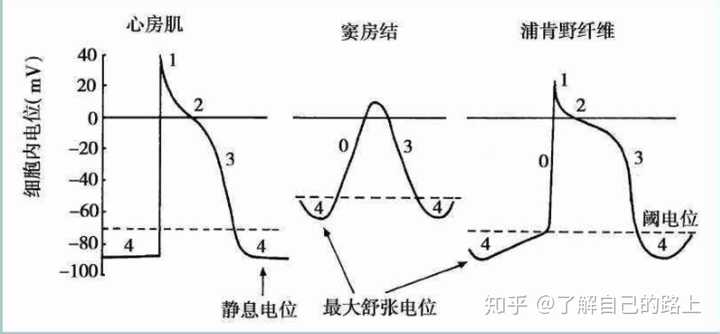 離子劑鈉鉀通道阻滯劑的作用_鈉離子鉀離子通道阻滯劑_離子劑鈉鉀通道阻滯劑有哪些