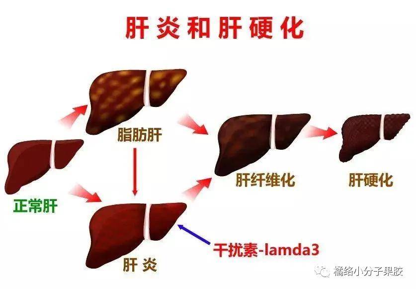 細胞膜受損_細胞膜損傷_細胞膜受損的癥狀