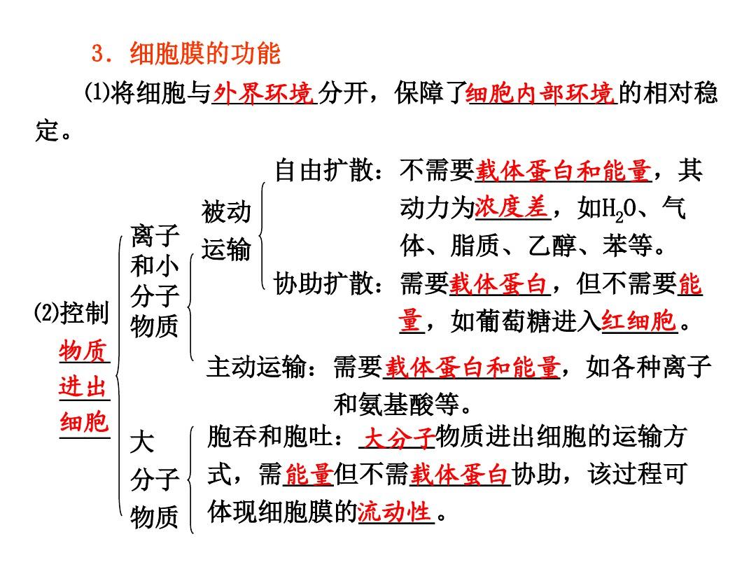 細胞膜流動鑲嵌模型_細胞膜的流動鑲嵌模型制作_流動鑲嵌模型是細胞膜嗎