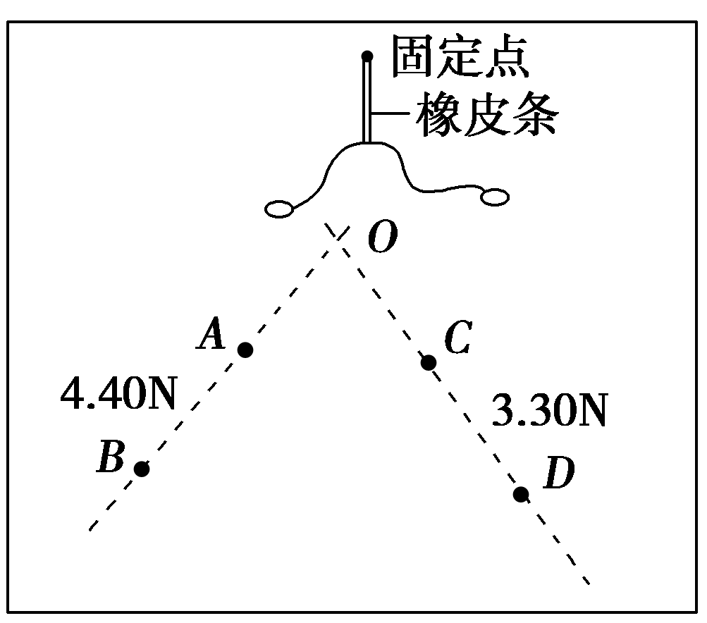 物理實驗二力平衡_探究二力平衡實驗題及答案_力學平衡小實驗