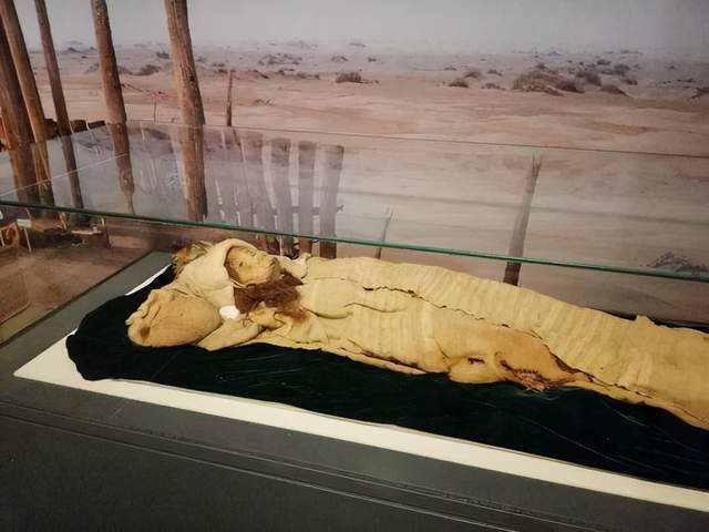 學天體物理能干什么工作_學天體物理學要選哪些科目_生物學和天體物理學