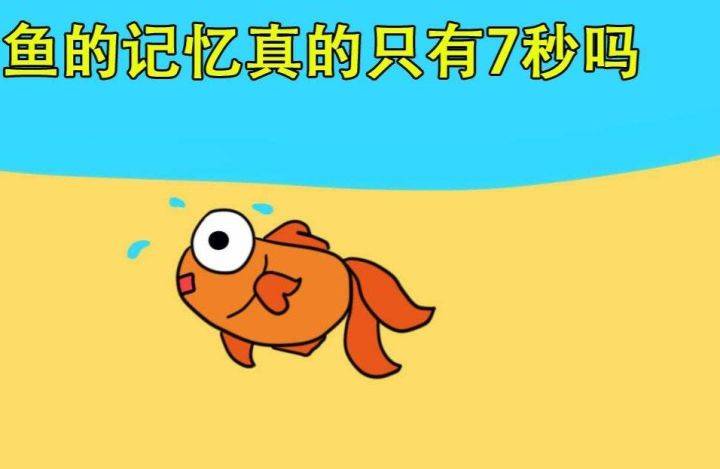 物理實驗模擬軟件初中_初中物理仿真實驗軟件_初中物理仿真實驗室軟件