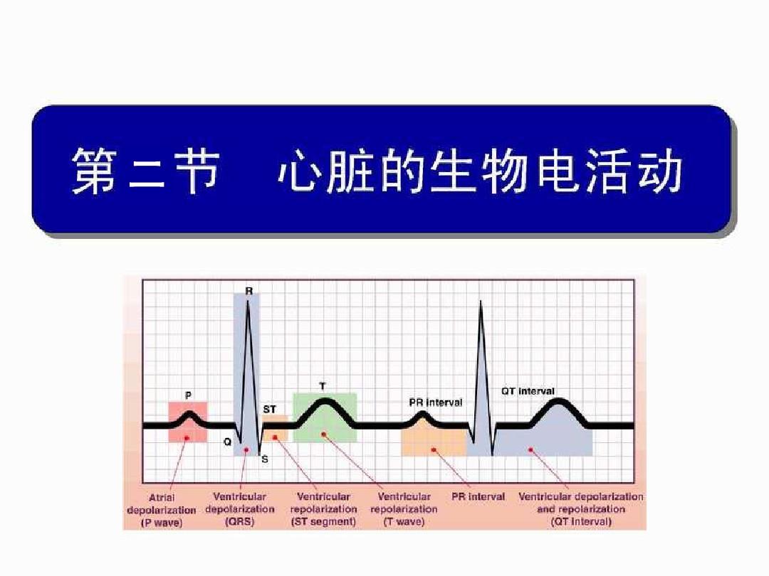 細胞膜通道蛋白及其功能_細胞膜通道_細胞膜通道的三種狀態(tài)