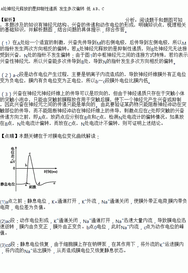 細胞膜內負電位向減小的方向變化稱為_細胞膜內的負電位減小_細胞膜內電位負值減小稱為