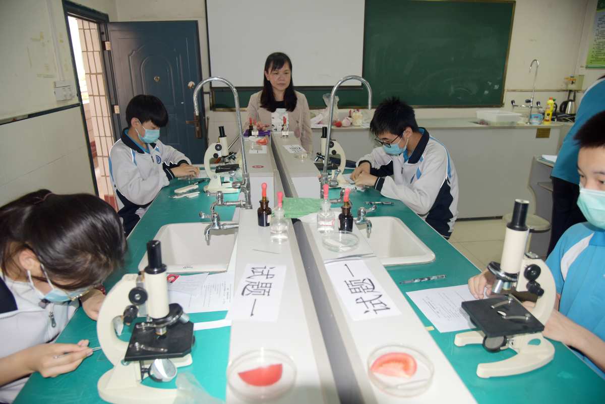 初三物理學法大視野答案_初三物理怎么學_初三物理學情點評答案