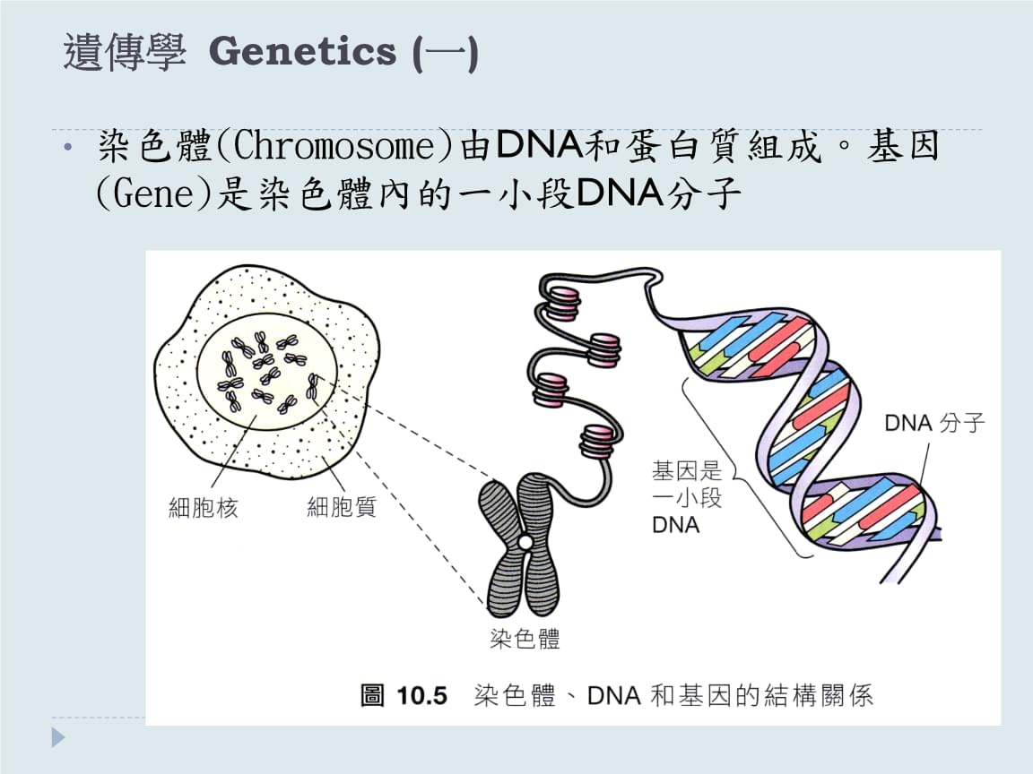 細胞膜水通道的原理_細胞膜通道的三種狀態_細胞膜水通道