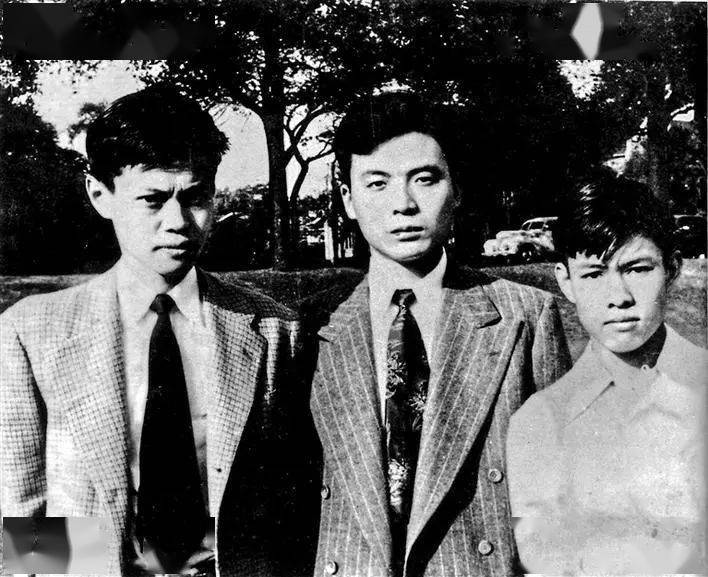 楊振寧婚姻_翁帆和楊振寧無性婚姻_楊振寧結婚翁帆