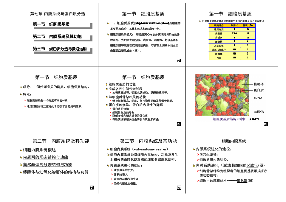 細(xì)胞膜的膜結(jié)構(gòu)_細(xì)胞膜結(jié)構(gòu)成分_細(xì)胞膜結(jié)構(gòu)