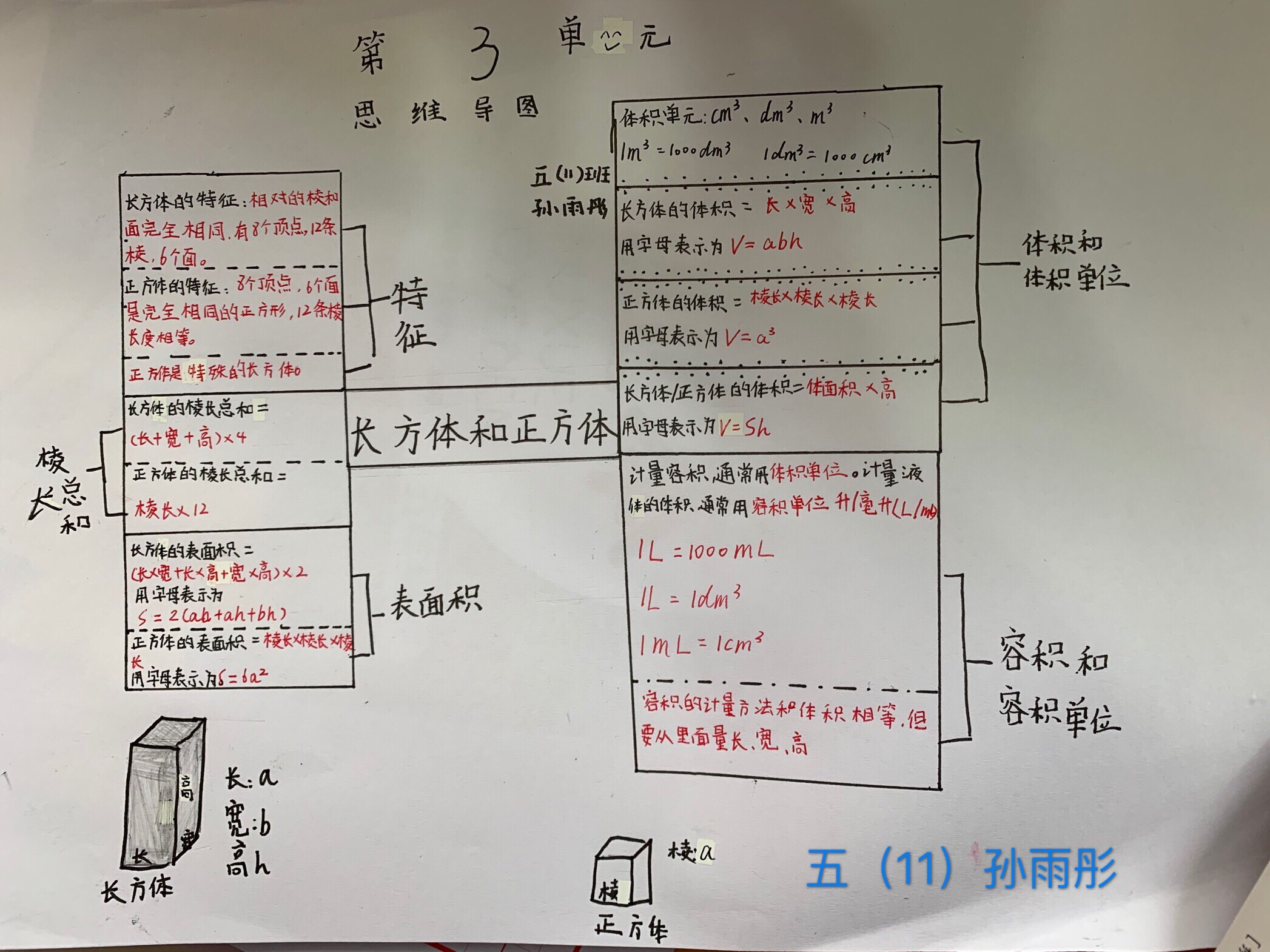 物理思維導圖人教版_物理思維導圖怎么畫簡潔好看_九年級物理思維導圖