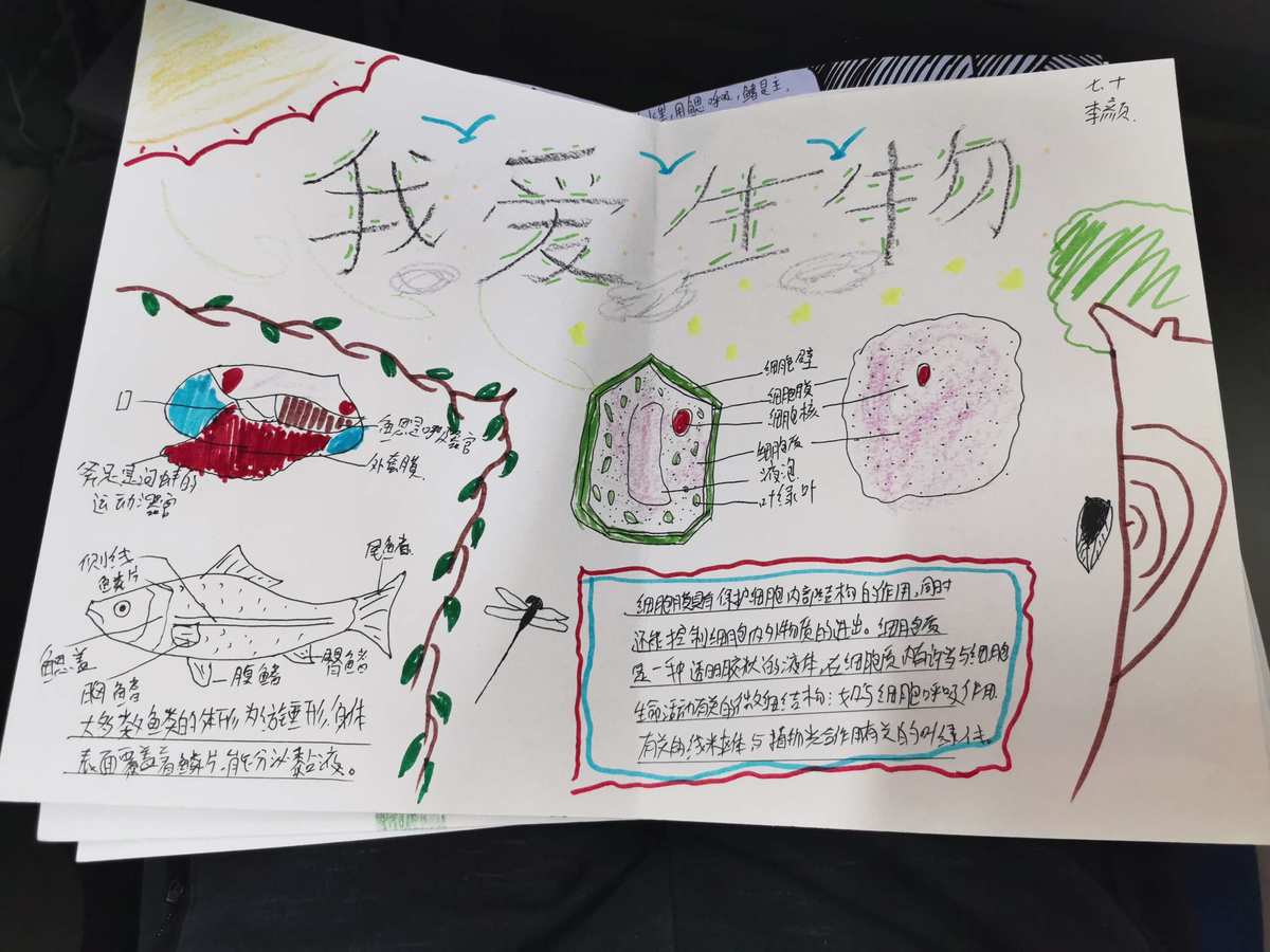 物理大合照是真的嗎_物理學界大合影_物理學大合照