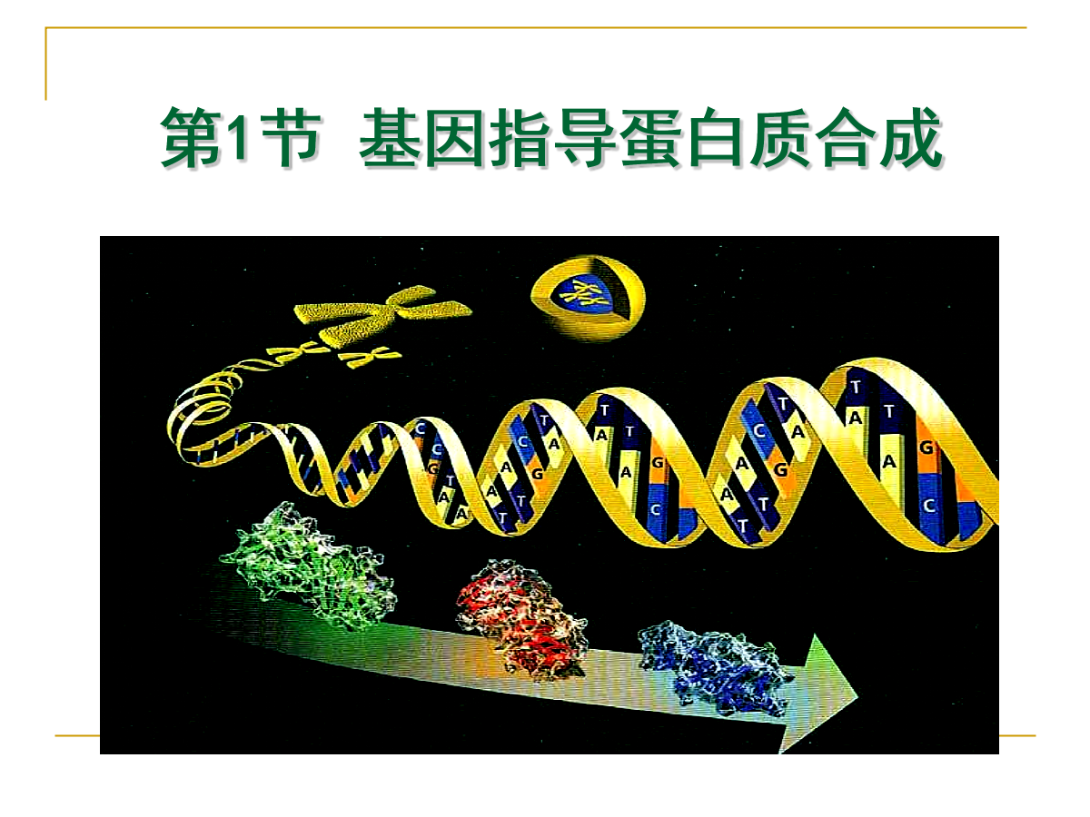 細胞膜通透性觀察分析_細胞膜通透性討論題_細胞膜選擇性通透