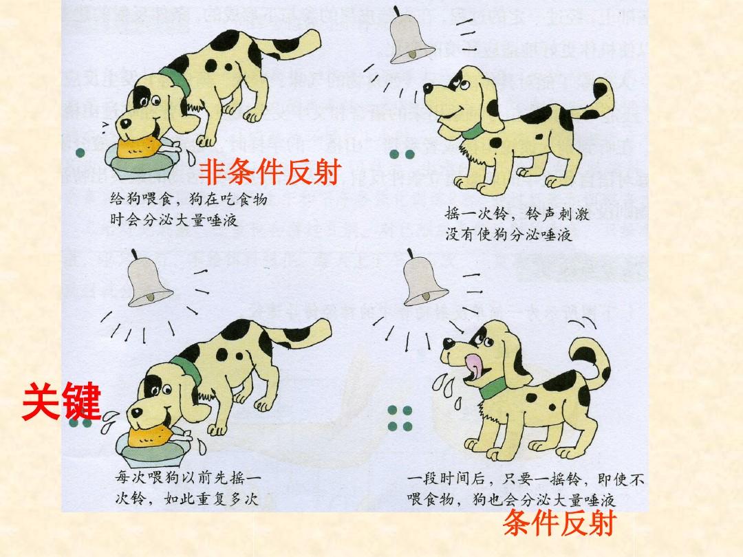 物理八年級上冊前三章知識點_物理八年級上冊前三章知識點_物理八年級上冊前三章知識點