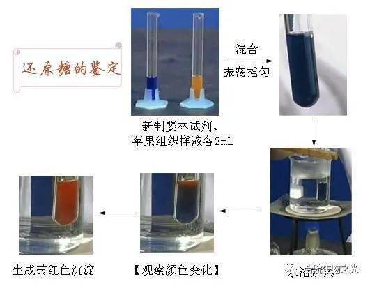 還原糖的檢測和觀察實驗視頻_還原性糖實驗視頻_還原糖實驗視頻