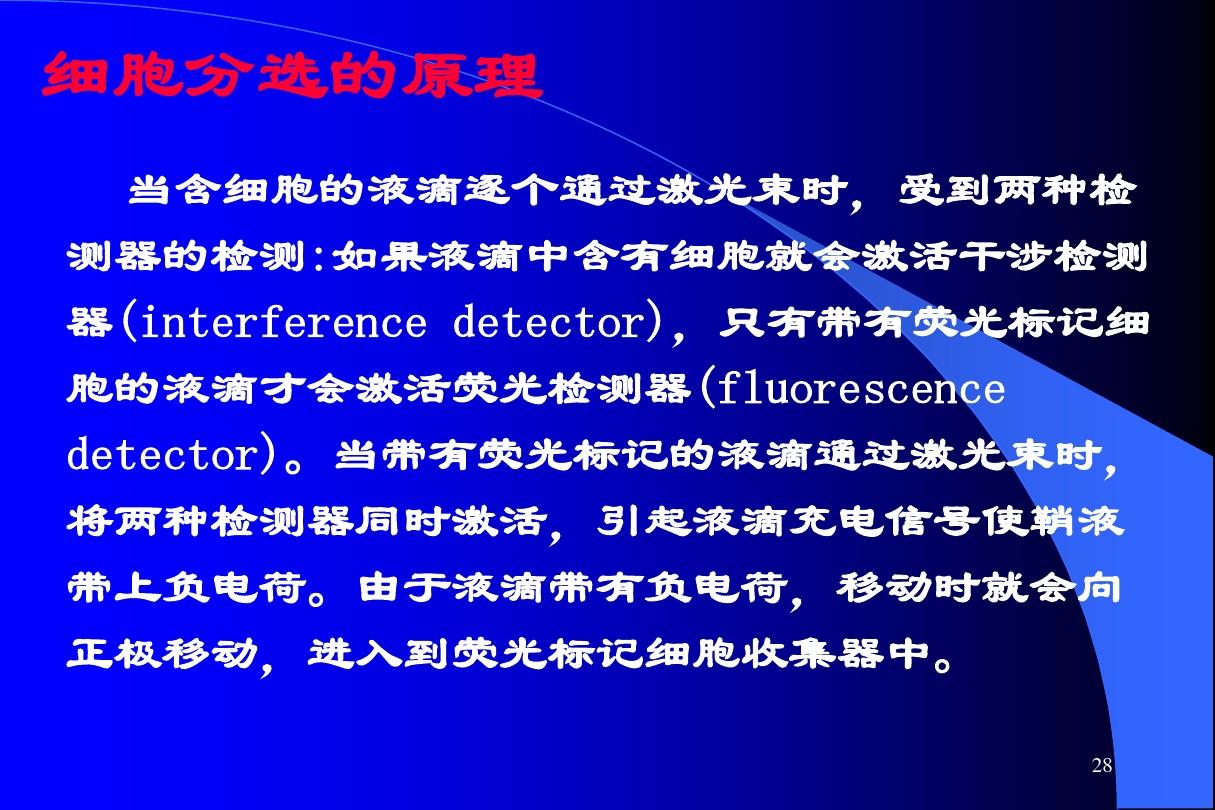 過氧化氫酶實驗高中生物視頻_氫酶怎么讀_生物酶制氫