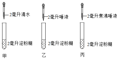 氫酶怎么讀_生物酶制氫_過氧化氫酶實驗高中生物視頻