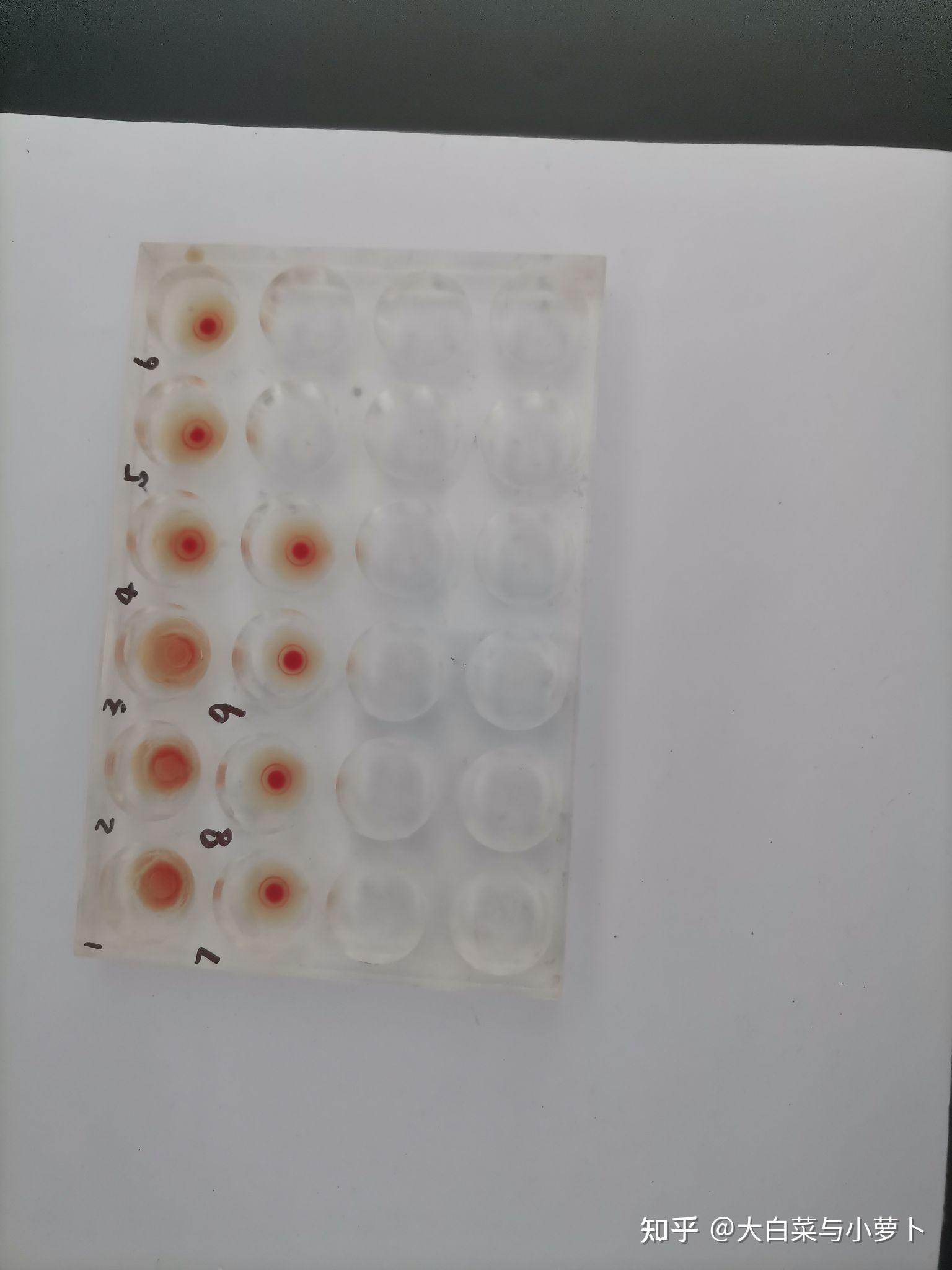 酶法制氫_高中生物酶的實驗視頻_過氧化氫酶實驗高中生物視頻