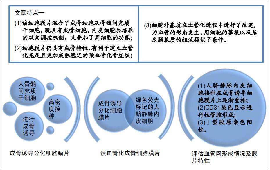 細胞膜片鉗設備_細胞膜片鉗_細胞膜片