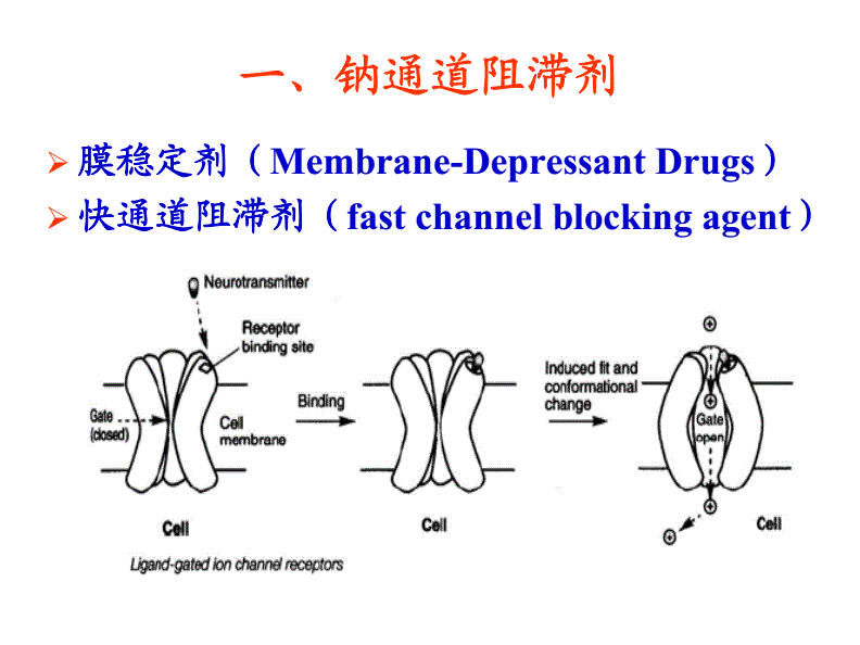 ⅲ類鉀通道阻滯劑_ⅲ類鉀通道阻滯劑_ⅲ類鉀通道阻滯劑